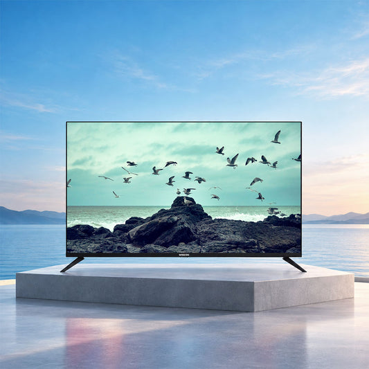 Wiscon 24 inch Non-Smart LED TV (WIL24HN)